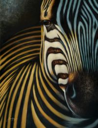 The Zebra Gallery Wrap