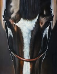 Horse 48X60