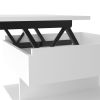 Peterson 1-Drawer 1-Shelf Lift Top Coffee Table White