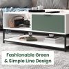 Watson White and Green Wood Coffee Table Steel Frame with Shelves and Drawer