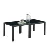 Coffee Table Set of 2; Square Modern Table with Tempered Glass Finish for Living Room; Black