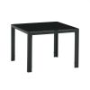 Coffee Table Set of 2; Square Modern Table with Tempered Glass Finish for Living Room; Black