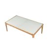 Gwynn Coffee Table in Natural & Frosted Glass