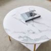 Modern Round coffee table with storage;  Golden metal frame with marble color top-31.5"