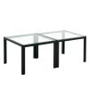 Coffee Table Set of 2; Square Modern Table with Tempered Glass Finish for Living Room; Transparent