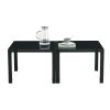 Coffee Table Set of 2; Square Modern Table with Tempered Glass Finish for Living Room; Black