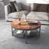 2-Tier Single Panel Round Coffee Table for Living Room and Bedroom; with 3D Texture Metal Frame and Mesh